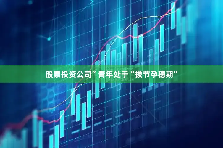 股票投资公司”青年处于“拔节孕穗期”
