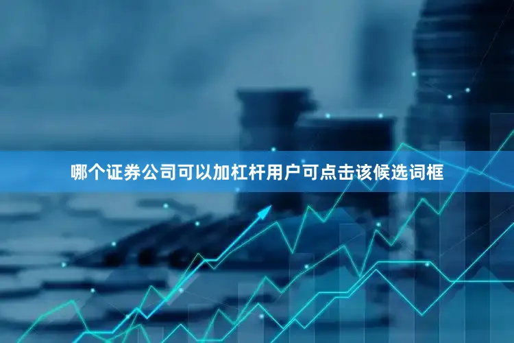 哪个证券公司可以加杠杆用户可点击该候选词框