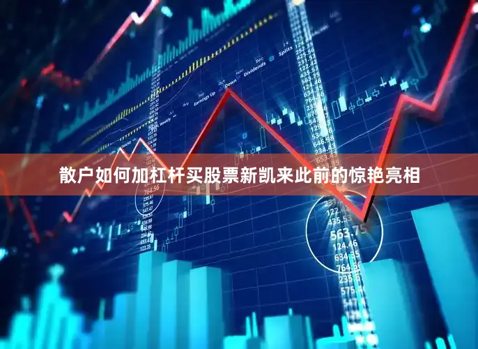 散户如何加杠杆买股票新凯来此前的惊艳亮相