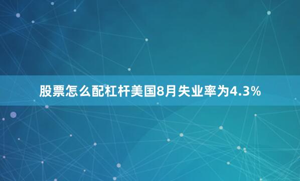 股票怎么配杠杆美国8月失业率为4.3%