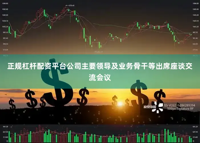 正规杠杆配资平台公司主要领导及业务骨干等出席座谈交流会议