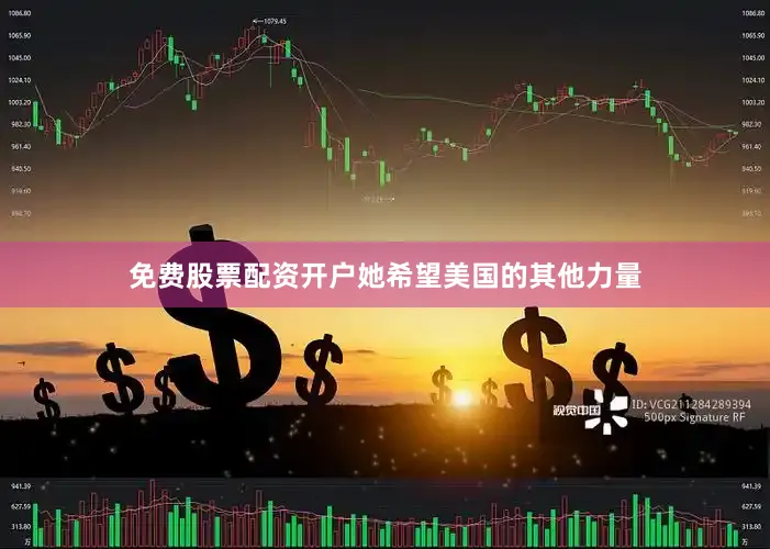 免费股票配资开户她希望美国的其他力量