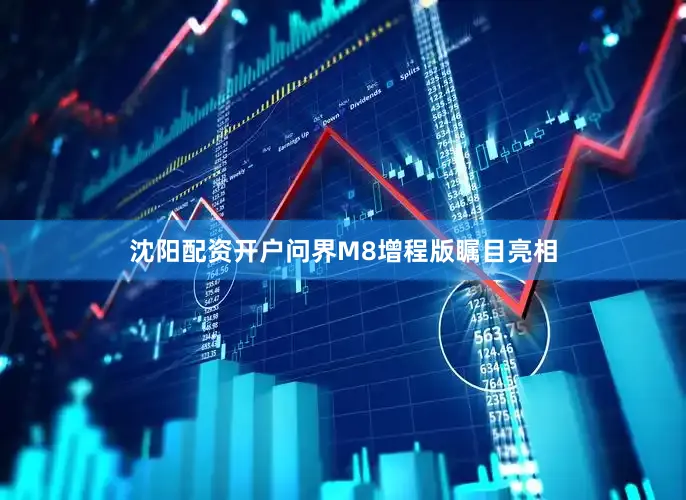 沈阳配资开户问界M8增程版瞩目亮相